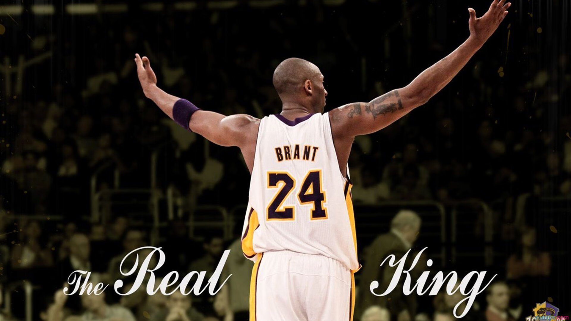 开云体育最新地址-全国青少年“篮球+智力运动”融合比赛在武汉精彩举办，丰富运动形式